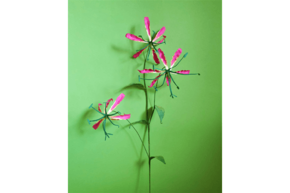 Gloriosa 3D SVG Review: Exotic Paper Flowers for Handmade Projects