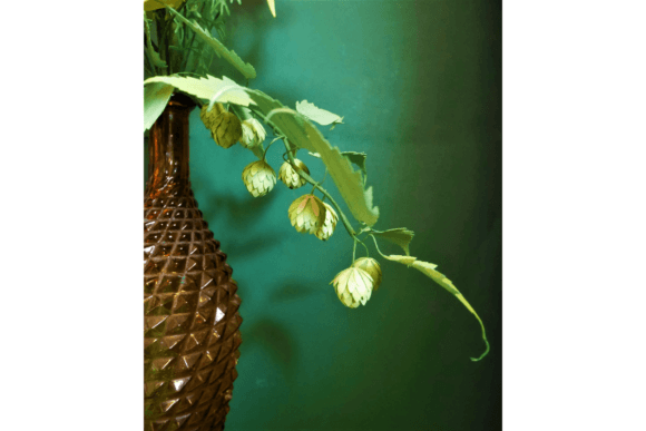 Hops Vine 3D SVG: A Floral Design Asset for Content Creators