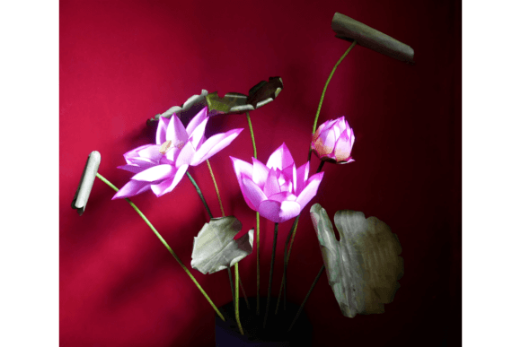 Lotus Flower 3D SVG: A Paper Flowers Design Asset for Modern Branding