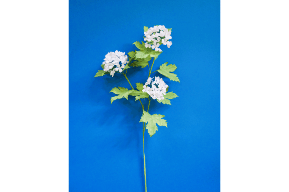Oak Tree Hydrangea Branch: A Designer’s Perspective