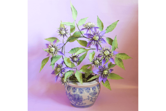 Taiga Clematis: A 3D SVG Paper Flower for Creative Designers